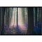 Velvet Light by Adrian Popan 23-in. W x 16-in. H. Canvas Wall Art Print Framed in Black